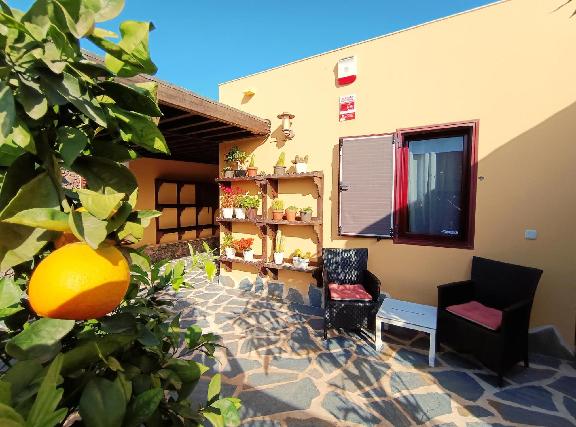Villa Enola La Oliva Dış mekan fotoğraf