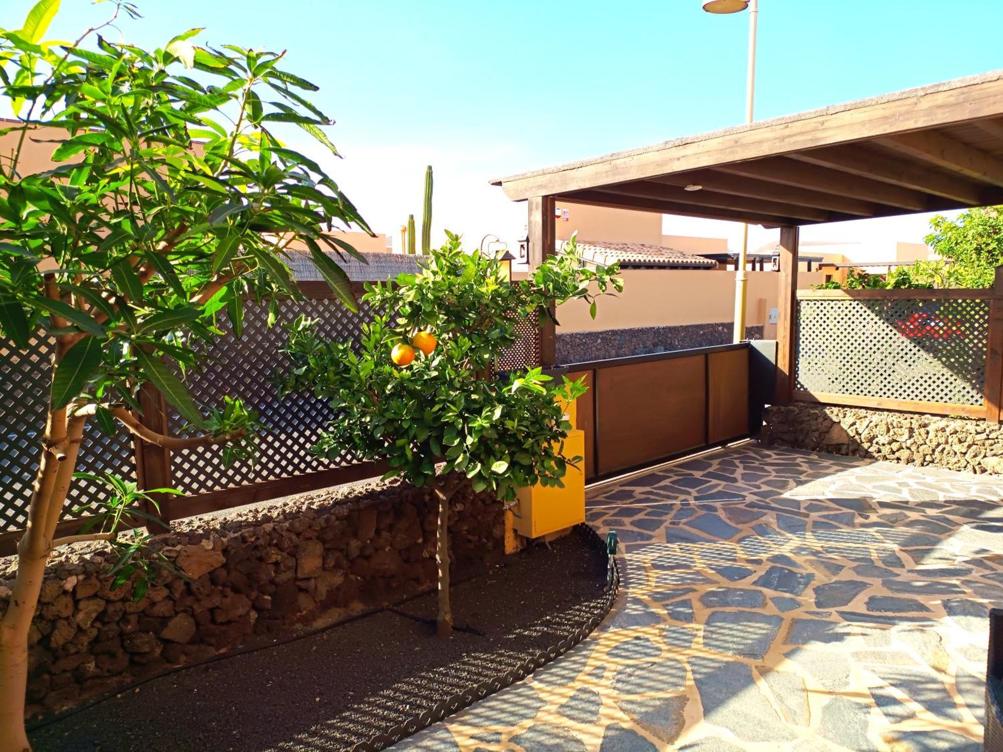 Villa Enola La Oliva Dış mekan fotoğraf